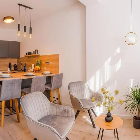 Luksuzni Ribica U Samom Centru Grada *